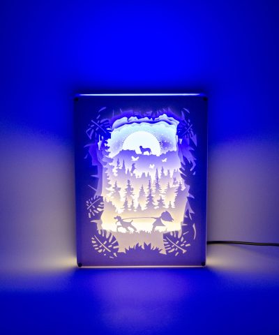 Lichtbox / Hundeliebe