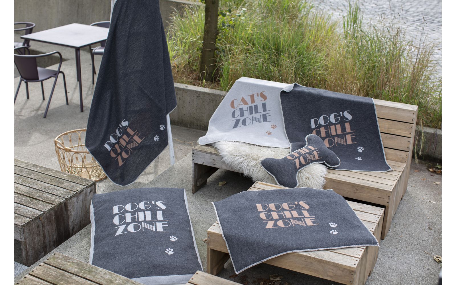 Cats Chillzone Fussenegger