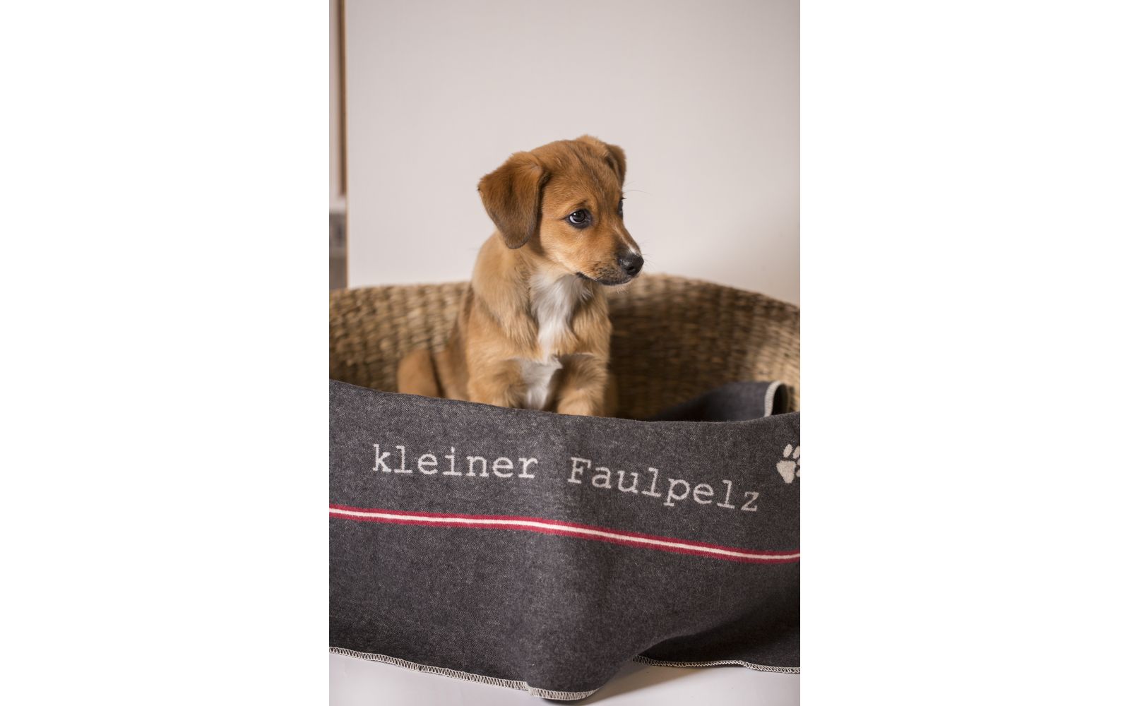 Hundedecke Faulpelz