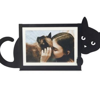 Bilderrahmen / Katze querformat