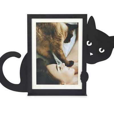 Bilderrahmen / Katze hoch