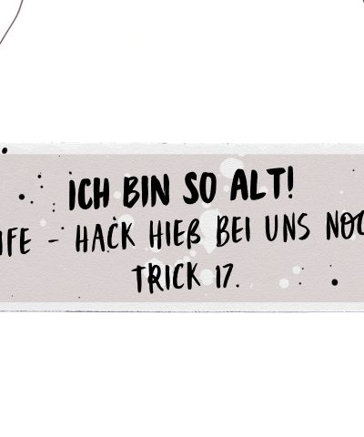 Holzschild / Ich bin so alt...