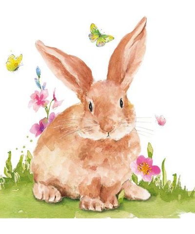Servietten / Mr. Rabbit