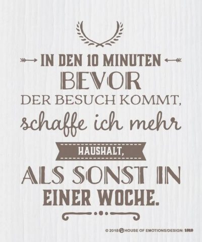 Spüllappen / Bevor der Besuch kommt