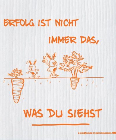 Spüllappen / Erfolg