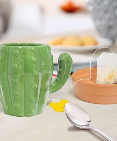 kaffeepflanze als zimmerpflanze Coffea Arabica Kaffeepflanze 12 cm  ca. 25 cm Zimmerpflanze  Pille  Gartenwelt