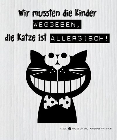 Spüllappen / Katze