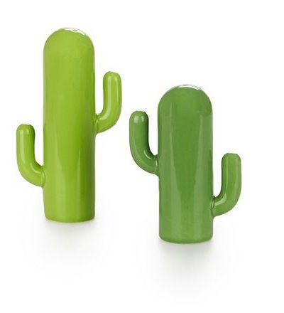 Salz- und Pfefferstreuer / Kaktus