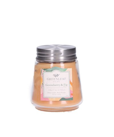 Petite Candle / Gooseberry & Fig